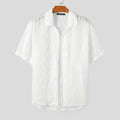2024 Men Shirt Tassel Chiffon Transparent Lapel Short Sleeve Sexy Men Clothing Summer Streetwear Party Fashion Camisas INCERUN