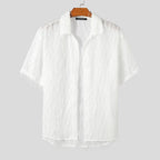 2024 Men Shirt Tassel Chiffon Transparent Lapel Short Sleeve Sexy Men Clothing Summer Streetwear Party Fashion Camisas INCERUN