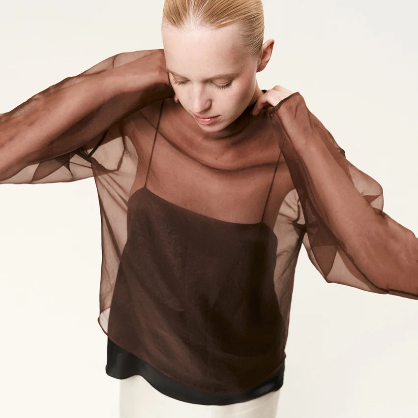 Linad Elegant Brown Mesh O Neck Blouse Women 2025 Sexy Apricot Sheer Shirt Female Autumn Street Chic Loose Long Sleeve Tops New